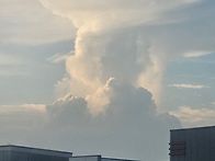260626 6-4 일요문학 산행..