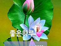 25년 5월 25일. ( 일요일..