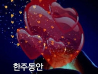 25년 2월 15일. ( 토요일..