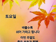 24년 11월 9일. (토).출..