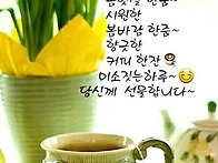 25년 5월 19일. ( 월요일..
