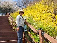 2026,04,04(토) 원미산,..