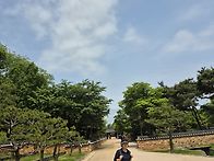 25년 5월 21일.수요일.월..