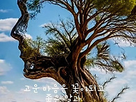 25년 5월 20일. ( 화요일..