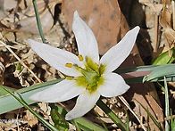 2026년 4월 2일 (목) 소..