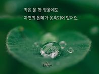 25년 5월 6일. ( 화요일)..