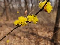 2026,03,29(일) 문학산 ..