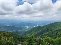 2026,05,23(토)금수산 정..