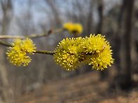 2026년 3월 22일(일) 일..