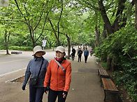5월19일 대공원-상아산번개