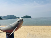 25.05.26일 대이작도 섬여..
