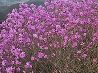 26년3월29일 일요계양 샷