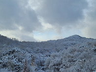 문학산 눈산행 급번개(20..