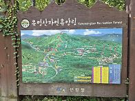 25년7월12일(토) 유명산