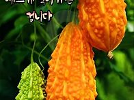 26년 9월 14일. 월요일 출..