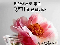 24년 11월 23일. (토요일..