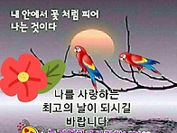 24년 8월 8일. ( 목 )출..