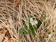 2026,04,05(일) 문학산 ..