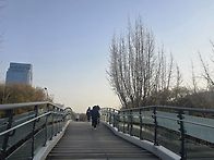 4월5일 밤 벚꽃트래킹(급..