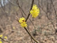 26.03.29(일)일요 문학