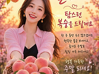 26년 9월 11일. 금요일 출..