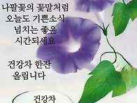 26년 8월 29일. 토요일 출..