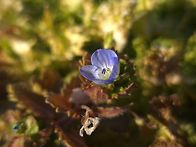 [오늘은 우수(雨水..