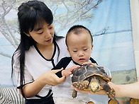 5월3주(레드풋 육..