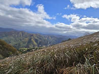 민동산