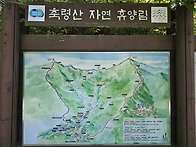 천안복지산악회 530회 서..