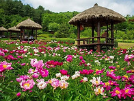 합창단 나들이