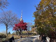 월정라 : 남산.경복궁....