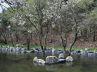 4월19일(토)장고항,국화도