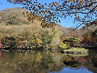 2025-11-15 백양사