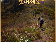 풍성한 한가위되세요
