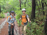 속리산 묘봉 정기산행 사진