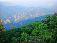 백두대간 6기(북진) 제 3..
