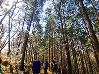 호남정맥(17구간) 대덕골재..