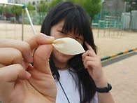 2026.4.17(금) 삼정초 6..