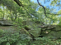 봉수산[26/05/10]