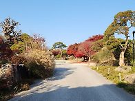 2025.11.16. 올해 마지막..