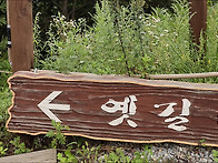 2025년 07월 정기산행 코스