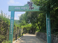 만수산 도롱뇽마을에도 무..