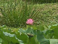 운연역~인천대공원까지 뚜..