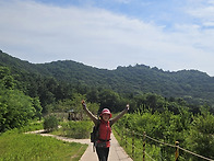 6월의 계양산 목상리 솔밭