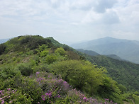 봉화산 산행 ~~~
