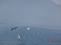 완도 청산도 여행1