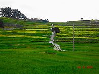 완도 청산도 여행 2