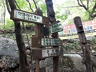 용조골. 중원산의. 자연