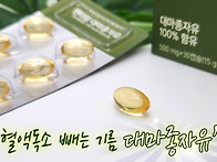 혈관청소부대마종자유